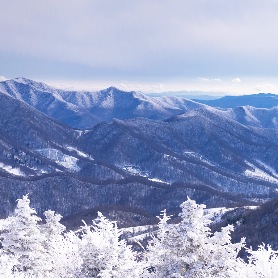 Hit The Road This Weekend and Head to the Mountain Town of Blowing Rock